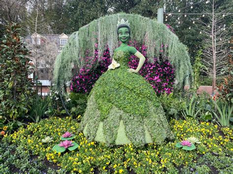 PHOTOS: Princess Tiana Topiary Debuts at 2023 EPCOT International ...