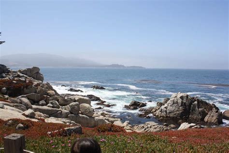 17 Mile Drive Pebble Beach - Any Tots