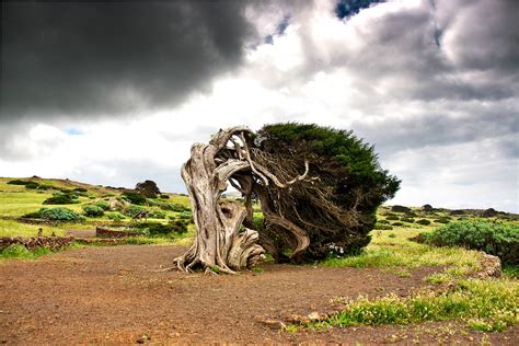 El Hierro Island Pictures | Photo Gallery of El Hierro Island - High ...