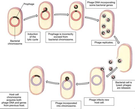 Knowledge Class: Transduction