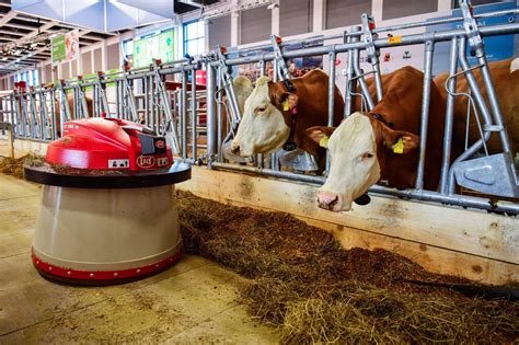 How Midwest Dairy Farmers Are Using Robots To Feed And Milk Cows | Here ...