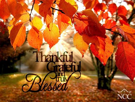 Top more than 84 thankful grateful blessed wallpaper best - in.cdgdbentre