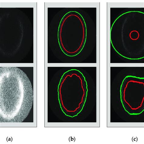 The auroral oval image and the local information based dual level set ...