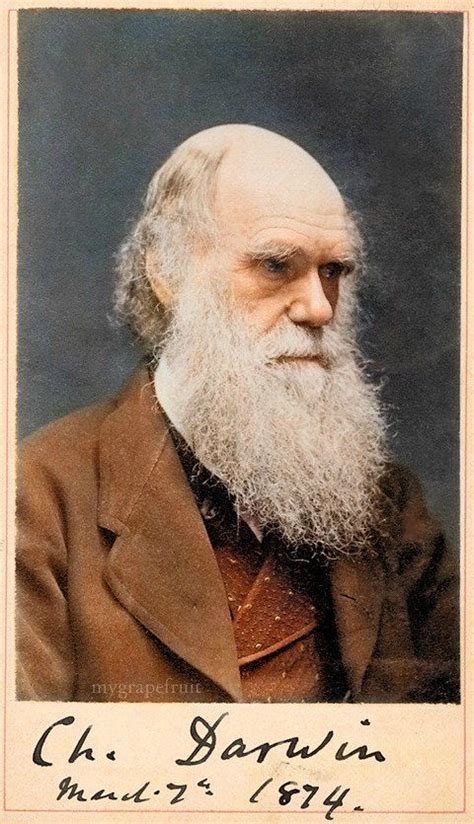 Who is Charles Darwin - MathiasmcyMooney