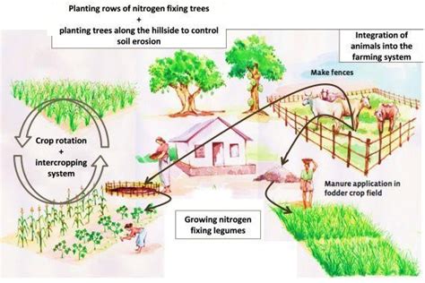 Integrated Farming System Model | Pashudhan praharee