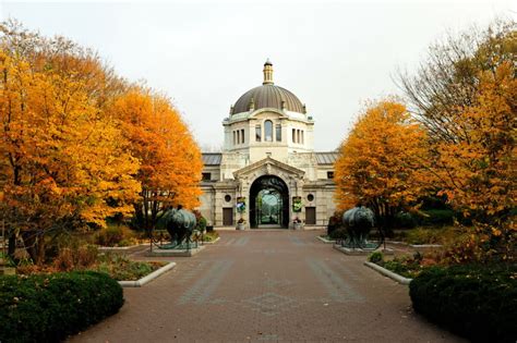 10+ BREATHTAKING Spots for Fall Foliage in New York City