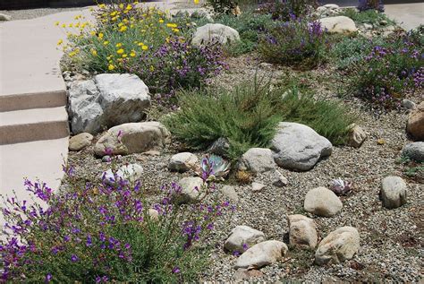 Most Amazing Landscaping Ideas Drought Tolerant CN14l2 | Drought ...