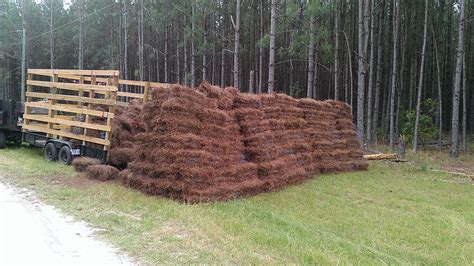 Pine Straw Savannah | Pooler Georgia https://www ...