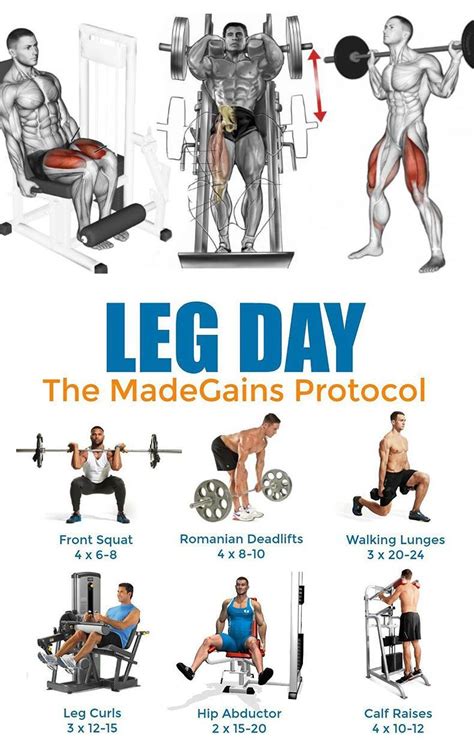 LEG DAY EXERCISES | Entrenamiento, Ejercicios, Rutinas