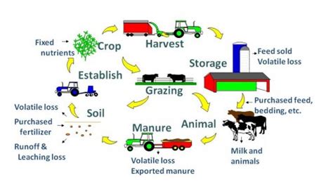 Integrated Farming Practices with AGRIVI Farm Management System