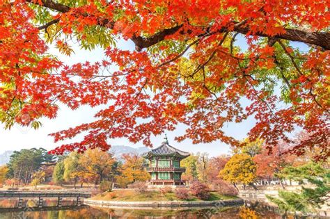 Fall foliage forecast Korea 2019 — 16 best place to see autumn leaves ...