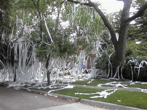 Huge Toilet Paper prank on a home in Pleasant Ridge (11 pics ...