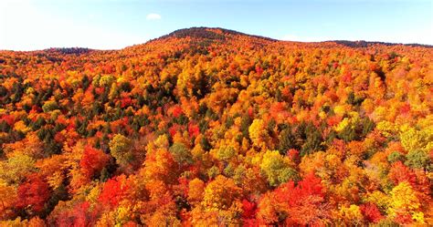 Majestic Maine | Fall foliage map, Foliage map, Maine in the fall