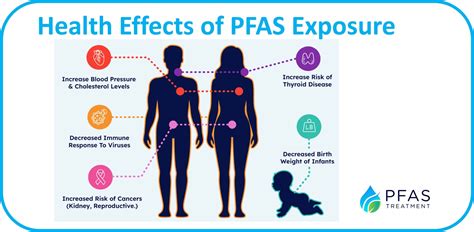 What Are PFAS: The Hidden Dangers of Forever Chemicals – pfastreatment.us