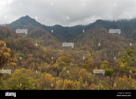 Fall at the Great Smoky Mountains National Park Stock Photo - Alamy