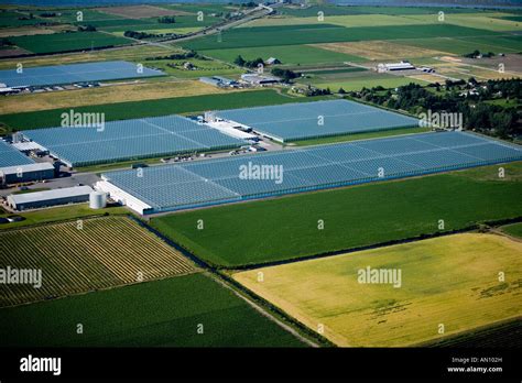 Greenhouses, British Columbia, Canada Stock Photo - Alamy