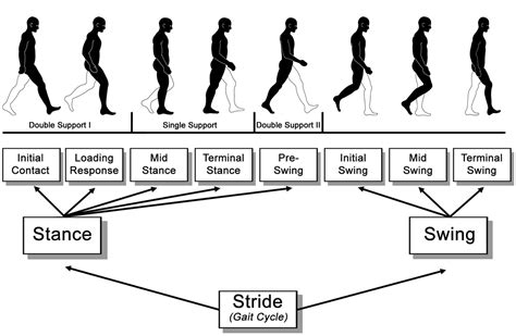 Gait and balance dysfunction in older adults: Challenges and ...