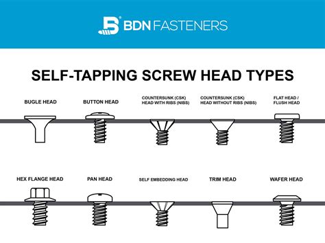 10 Different Self-Tapping screw head types | BDN Fasteners