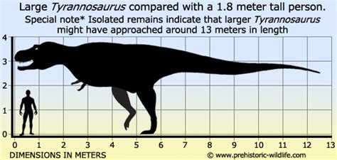 Tyrannosaurus Rex: Quick Facts | Owlcation