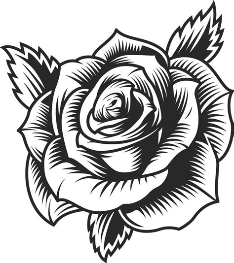 Black Rose Flower | Roses drawing, Rose drawing, Rose tattoos for men