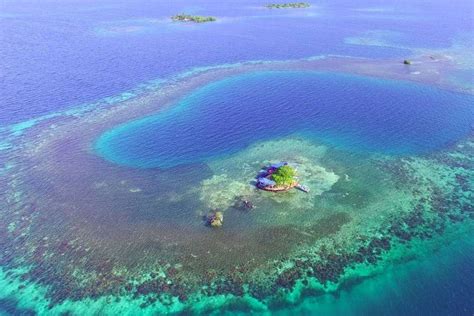 Bird Island in Belize