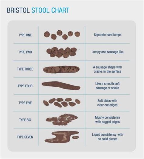 WHAT IS A HEALTHY BOWEL MOVEMENT? | by Sophie Bibbs | Medium