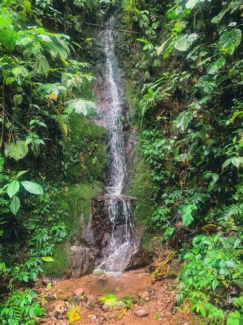 How To Visit The 7 Mindo Waterfalls In The Ecuador Cloud Forest ...