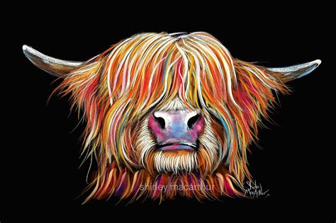 Highland Cow Print Box Canvas (Wall Art, Cow Print, Cow Canvas ...