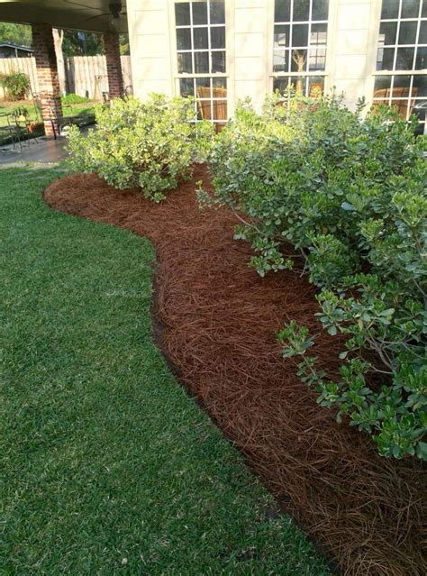 Maybe you've viewed this until today? Ditch Landscaping | Pine straw ...