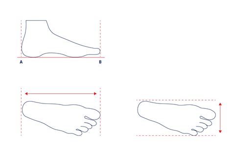 Shoe Size Conversion Chart & Measurement Guide