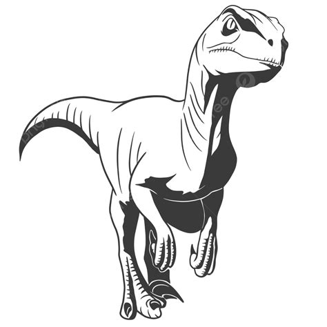 Raptor Dinosaur Clipart Black