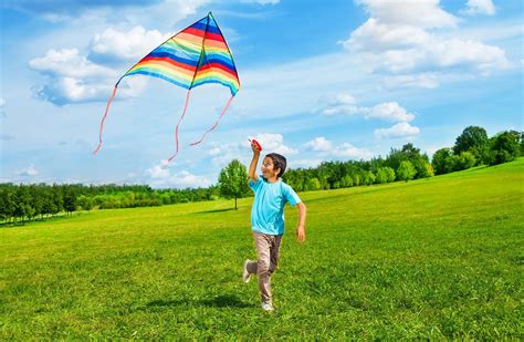 19 Mind-blowing Facts About Kite Flying - Facts.net