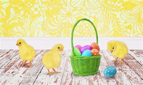 Chicks Easter Wallpapers - Wallpaper Cave