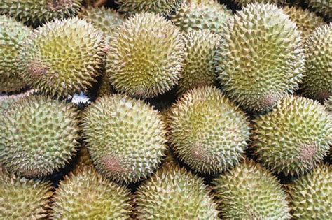 Why D24 Has Various Subtypes Including Sultan And XO Durian | Durianed!