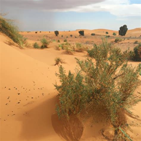 How Much Rain Does the Sahara Desert Get? - The Enlightened Mindset