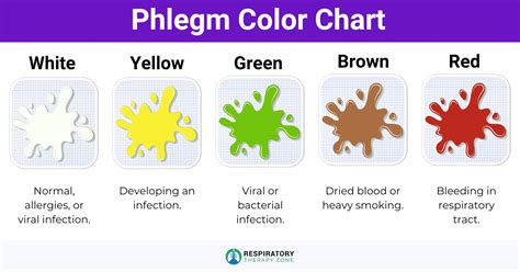 Phlegm in Throat After Laughing: Causes and Treatment (2024)