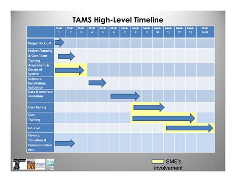 Neat Implementation Timeline Template Excel How Do You Make A In Google ...