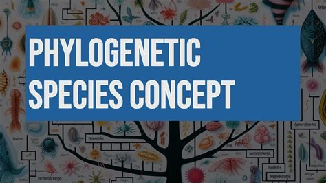 Phylogenetic Species Concept - YouTube