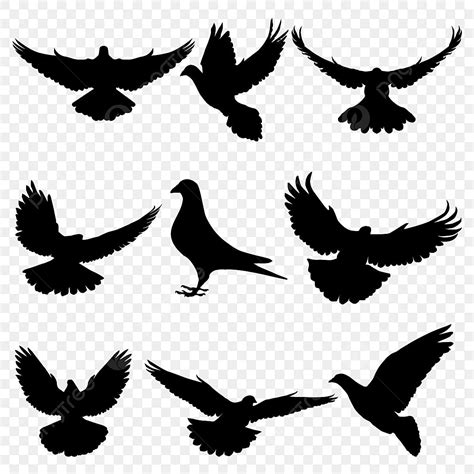 Descending Dove Clipart