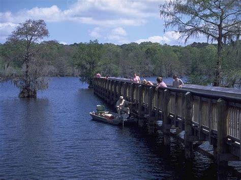 Chicot State Park | Explore Louisiana