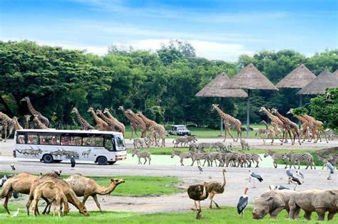 Private Tour to Safari World in Bangkok 2024