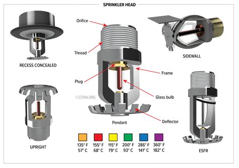 Sprinkler Head - Inspection Gallery - InterNACHI®