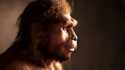 Ancient human species made ‘last stand' 100,000 years ago on Indonesian ...