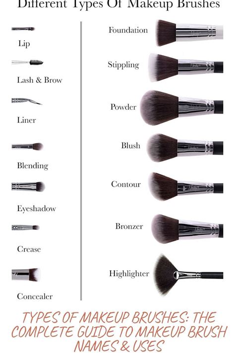 Makeup Brushes Uses And Names Pictures | Makeupview.co