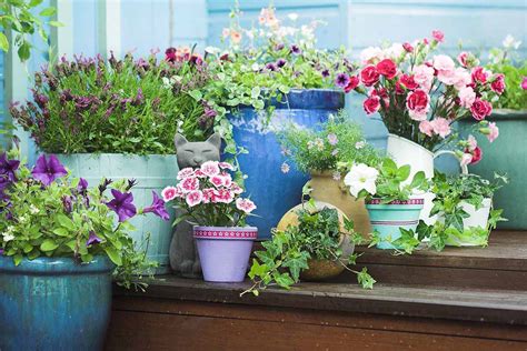 Containers, Pots, and Planters: What Material Is Best?