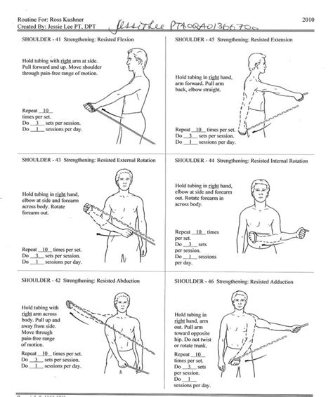 Physical therapy exercises, Shoulder exercises physical therapy ...