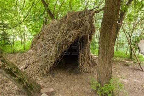 hunter-gatherer shelter - Google Search | Hunter gatherer, Hunter, Tree