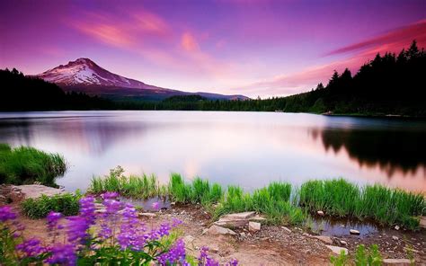 Landscape With Mountain, Lake And Flowers Wallpapers - Wallpaper Cave