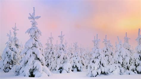 Snow Desktop Wallpapers - Top Free Snow Desktop Backgrounds ...