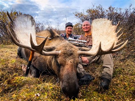 Calling and Locating Moose During the Rut | Kawdy Outfitters